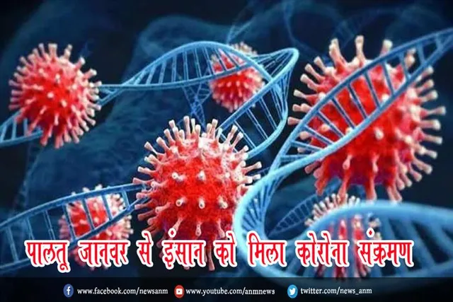 पालतू जानवर से इंसान को मिला कोरोना संक्रमण