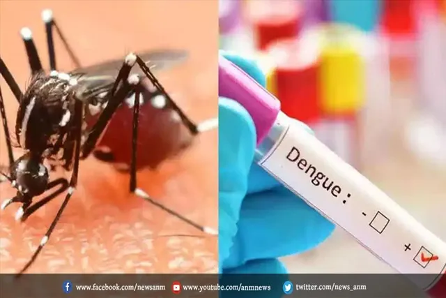 डेंगू की रोकथाम ने के लिए दिल्ली सरकार चलाएगी अभियान