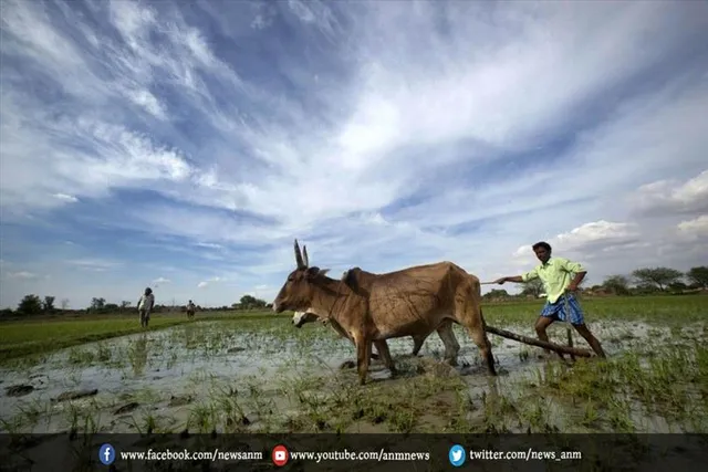 मानसून: इस बार कृषि उत्पादन-मुद्रास्फीति धीमी पड़ने की उम्मीद