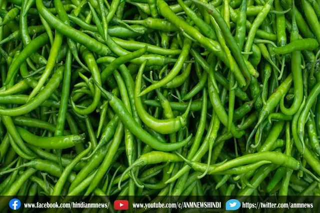 हरी मिर्च खाने के फायदे