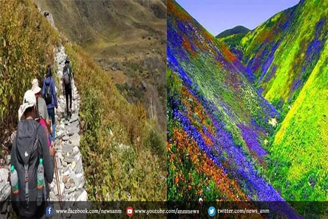 विश्व प्रसिद्ध फूलों की घाटी 31 अक्तूबर को शीतकाल के लिए बंद हो जाएगी