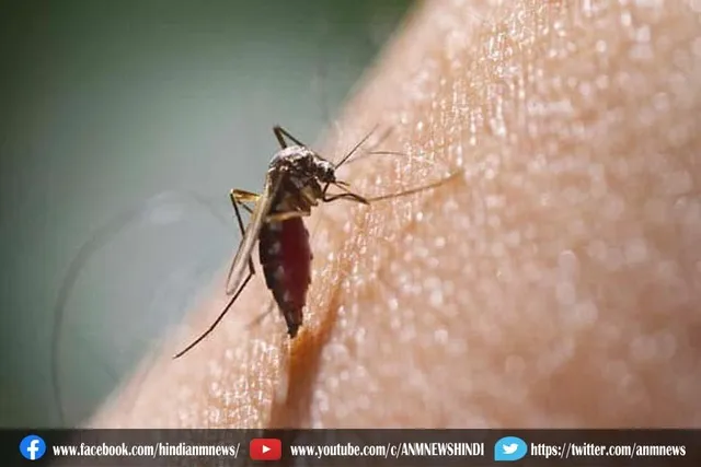 कानपुर में जीका वायरस के 25 नए मामले सामने आए