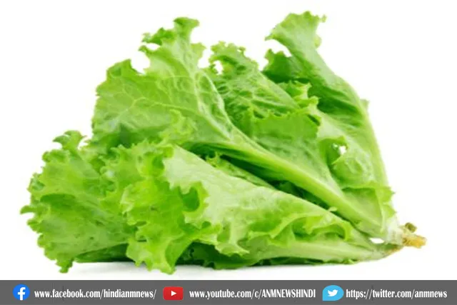 कैंसर से लड़ सकती है ये सब्जी