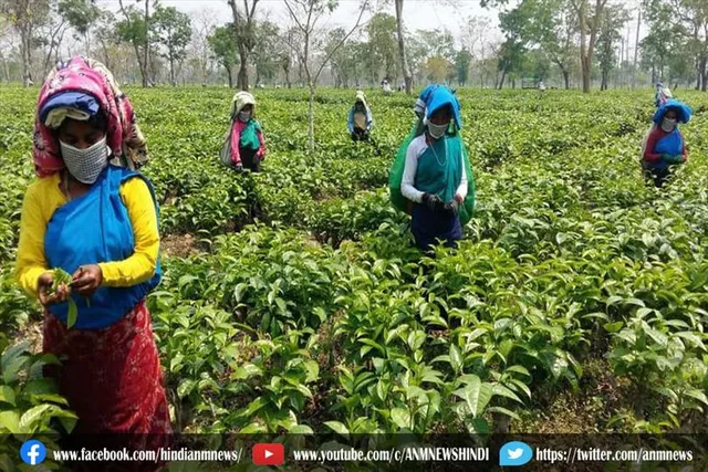 जांच के लिए कई एजेंसियों को नियुक्त