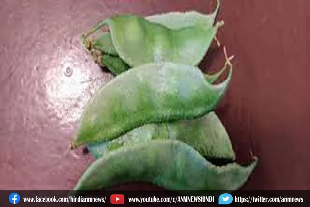 आयुर्वेद इन चीजों को रोज़ खाने क्यों करता है मना ?