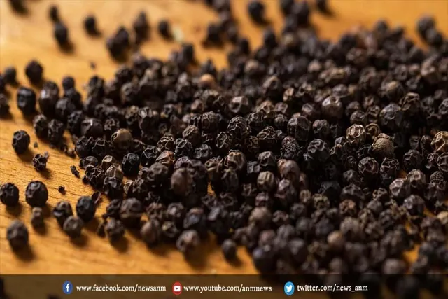 काली मिर्च का नियमित सेवन से हो सकता है फायदेमंद