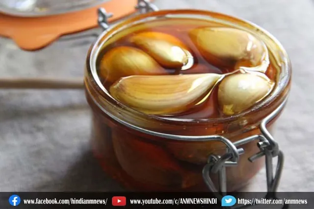 शहद में डूबा हुआ लहसुन खाने के फायदे