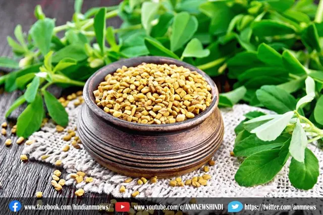 मेथी सेहत के लिए बेहद गुणकारी है