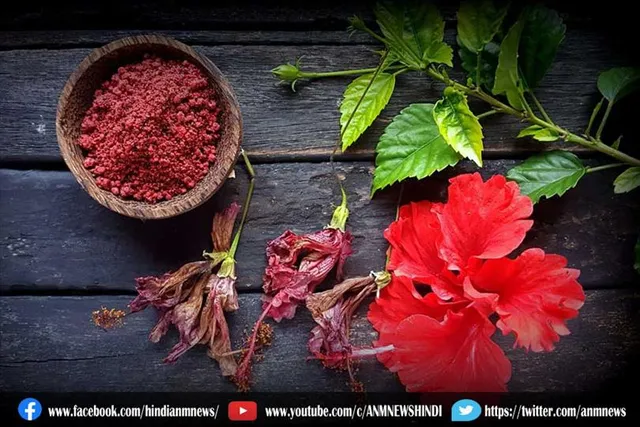 गुड़हल से बनाएं लाल रंग