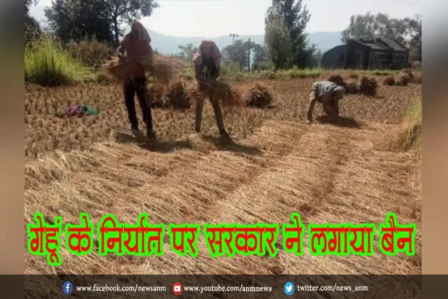 गेहूं के निर्यात पर सरकार ने लगाया बैन