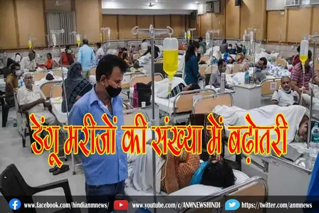 डेंगू मरीजों की संख्या में बढ़ोतरी