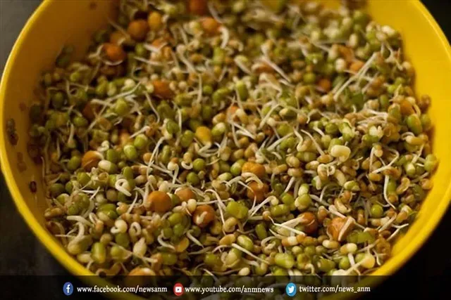 होली पर जमकर खाया है ऑयली और मीठा तो डाइट में शामिल करें ये 3 चीजें