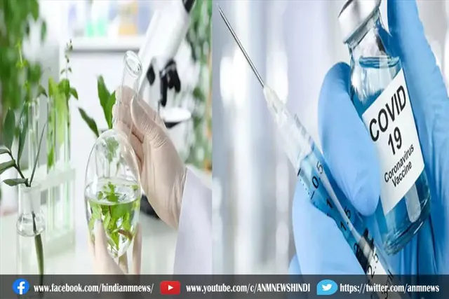कोरोना वायरस के लिए पौधे से बनी वैक्सीन सौ फीसदी असरदार