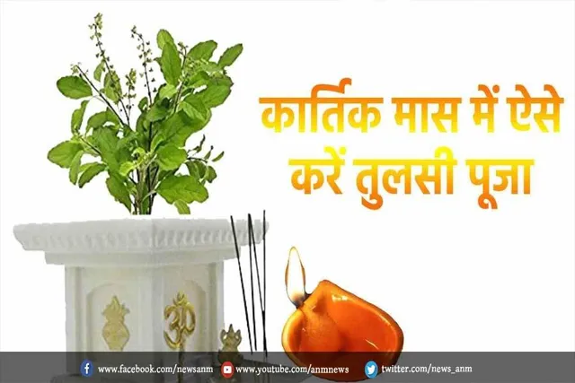 कार्तिक महीने में ऐसे करें तुलसी पूजा