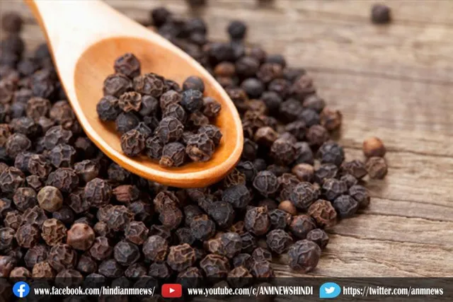 इम्यूनिटी को मजबूत बनाने के लिए काली मिर्च को करें डाइट में शामिल
