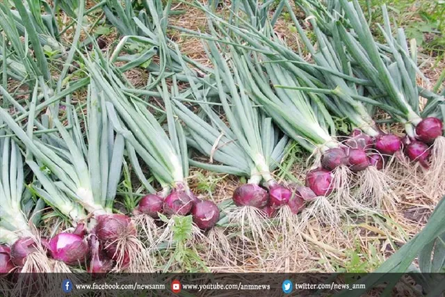 बारिश से मची आफत