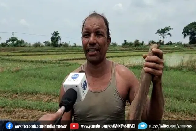 पेट्रोल-डीजल की कीमत के चलते खेती में पड़ रहा असर