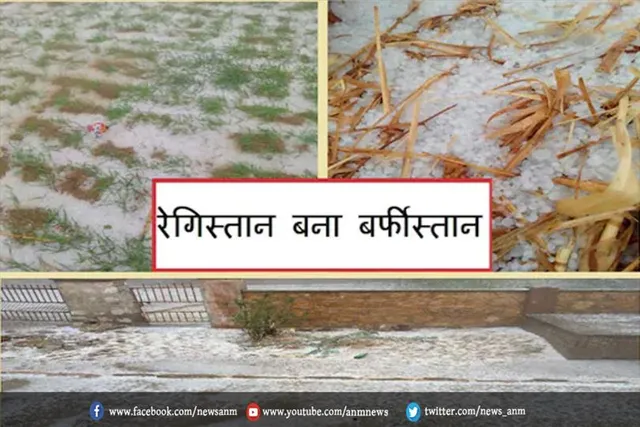 खेतों में बिछी सफेद चादर