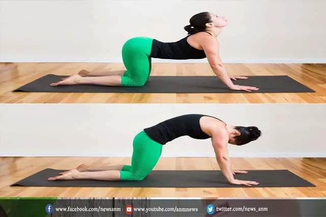 मार्जरी आसन