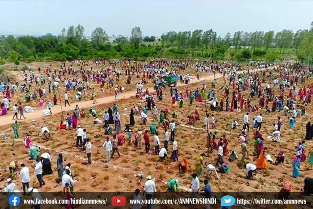 भारत के नाम पौधारोपण का विश्व रिकॉर्ड, एक घंटे में लगाए गए 10 लाख पौधे