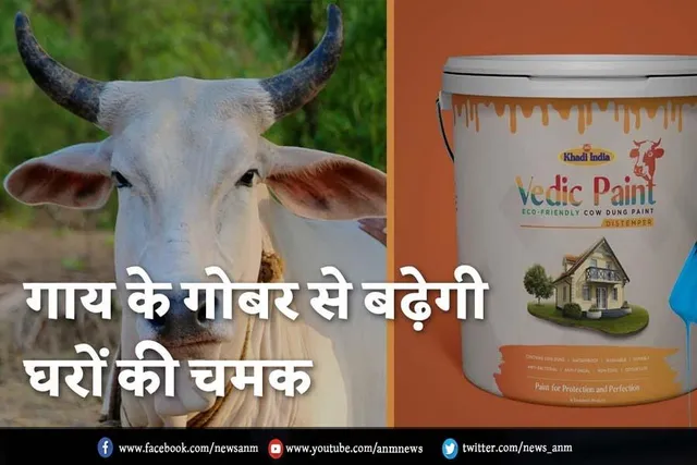 गाय के गोबर से बढ़ेगी घर की चमक