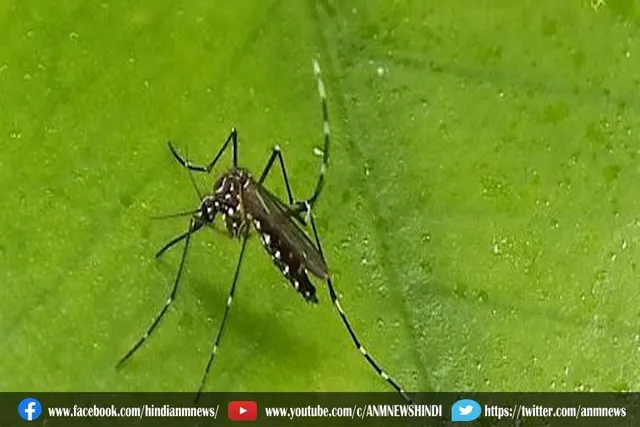 डेंगू : केंद्रीय स्वास्थ्य मंत्री ने इस स्थिति में की बैठक