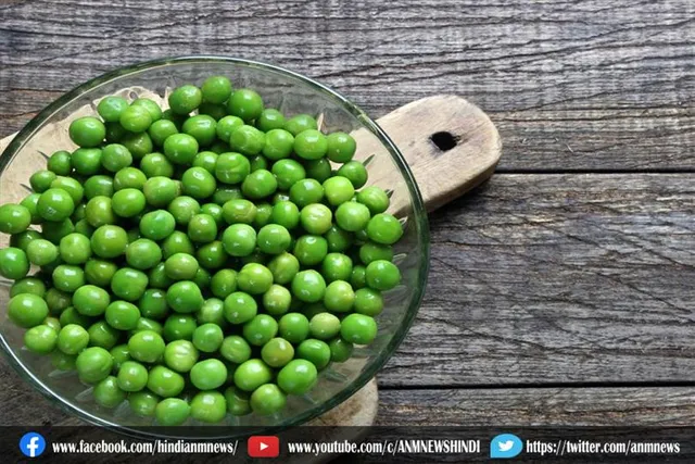 इन समस्याओं में नहीं खाएं हरी मटर