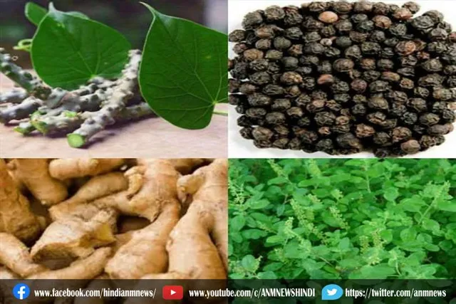इम्यूनिटी को बढ़ाने के लिए करें इन हर्ब का सेवन