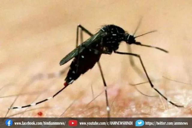 जम्मू-कश्मीर: उधमपुर में छह और मिले डेंगू से संक्रमित