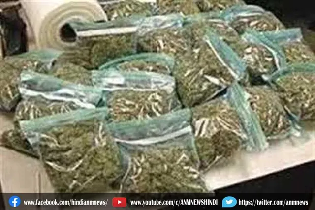 दिल्ली में इतने किलो गांजा सहित एक ड्रग पेडलर गिरफ्तार