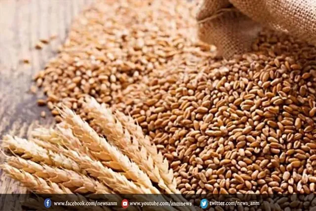 भारत से जल्द 12 लाख टन गेहूं के निर्यात को मिल सकती है हरी झंडी