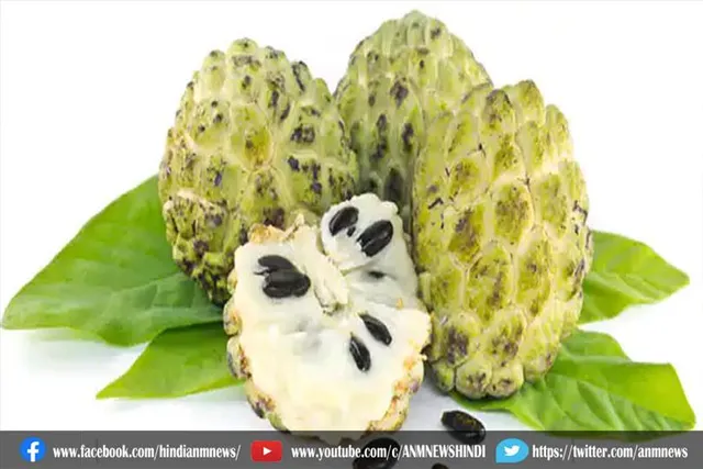 सर्दियों के मौसम में करें शरीफा का सेवन