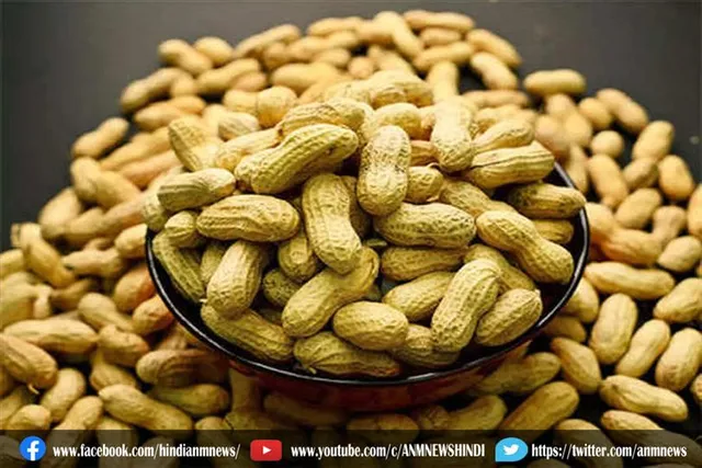सर्दियों के मौसम में मूंगफली खाने के फायदे