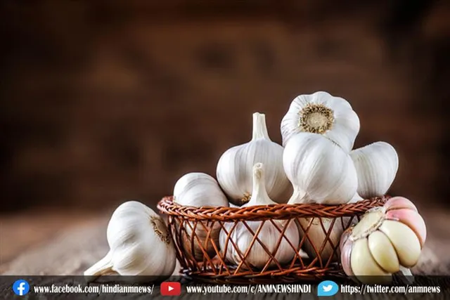 जानिए क्या सर्जरी होने से पहले लहसुन का इस्तेमाल बड़ी मात्रा में नहीं करना चाहिए