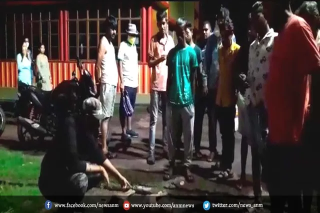 कुत्ते की निर्माम हत्या