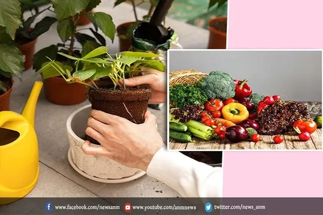 जनवरी में लगने वाले सब्जियां