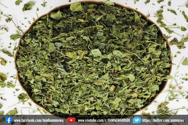 घर पर बनाएं कसूरी मेथी