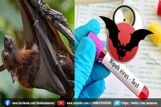निपाह वायरस बरपा रहा है कहर