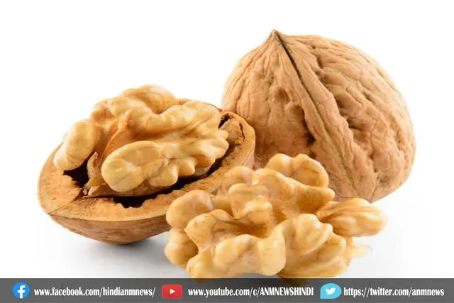जानिए अखरोट खाने के नए फायदे