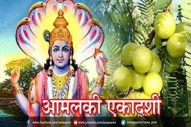आमलकी एकादशी पर इस पौधे को घर में लगाने से बढ़ेगा बैंक बैलेंस