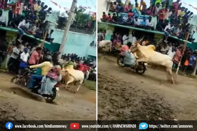 बाइक सवार महिला को सांड ने मारी जबरदस्त टक्कर