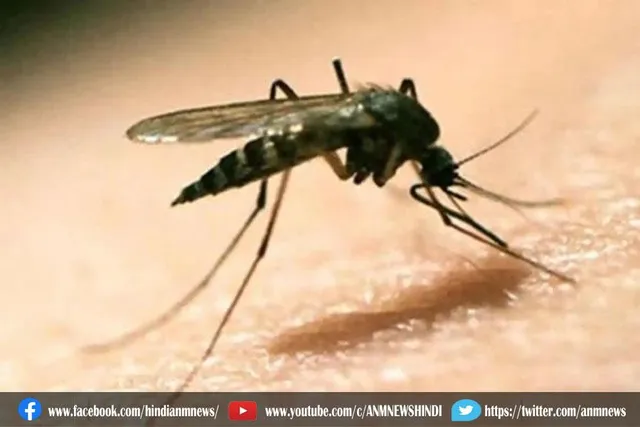 पंजाब में कोरोना के बाद डेंगू की दस्तक से पहली मौत