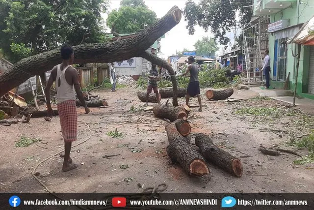सड़क पर गिरा पेड़, यातायात बाधित