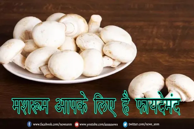 मशरूम आपके लिए है फायदेमंद