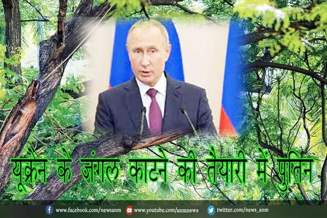 यूक्रेन के जंगल काटने की तैयारी में पुतिन