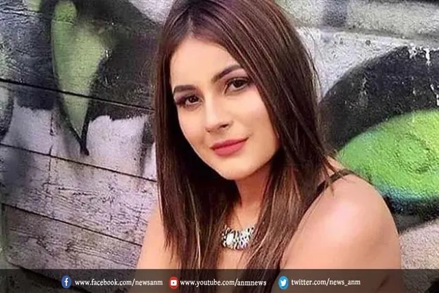देखे कॉफ़ी विद करण की तरह शहनाज़ गिल का शो