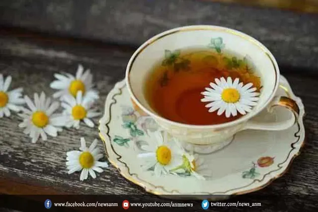 इन चाय का सेवन करने से कंट्रोल में रहेगा शुगर लेवल