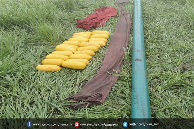 BSF को मिली बड़ी सफलता, 29 किलो हेरोइन की बरामद