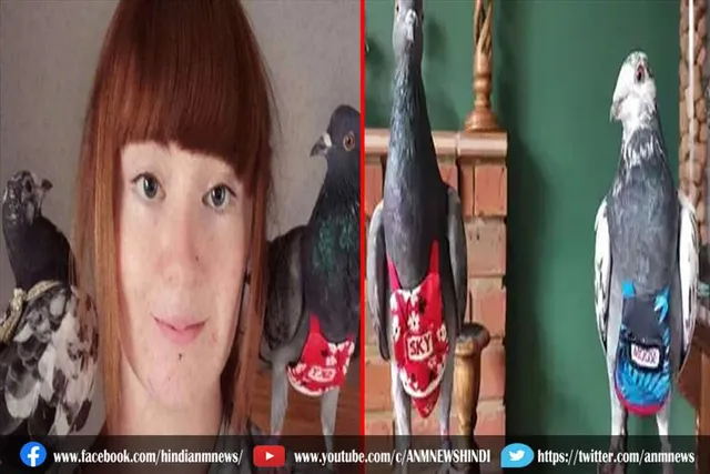 इंग्लैंड के इस महिला ने पालतू कबूतरों को दे रखी है शानदार जिंदगी