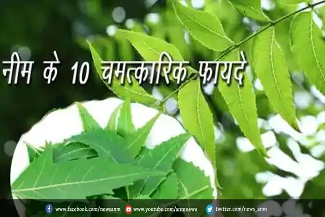 जानिए, नीम के पत्तों के 10 अनमोल गुण